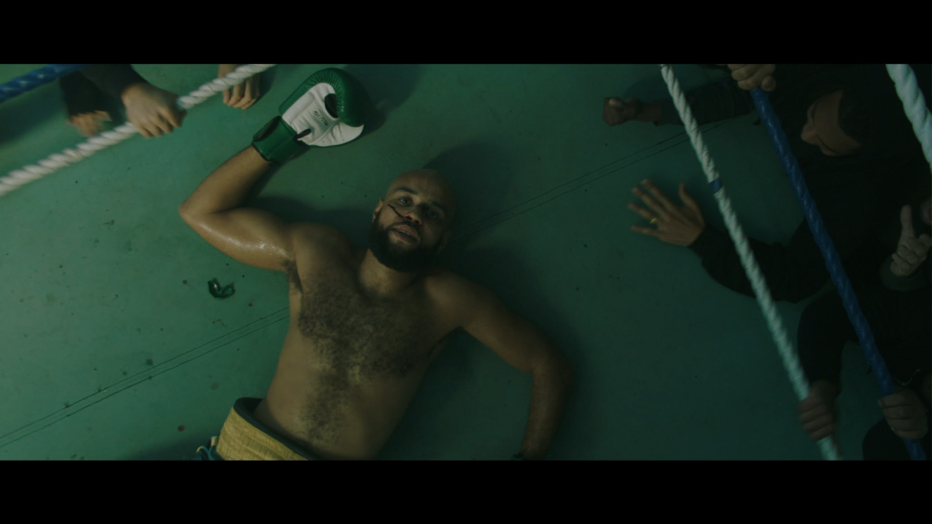 Meridian Dan - Vegan Chat